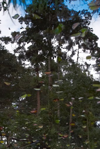 「秋影」鏡面仕上げ