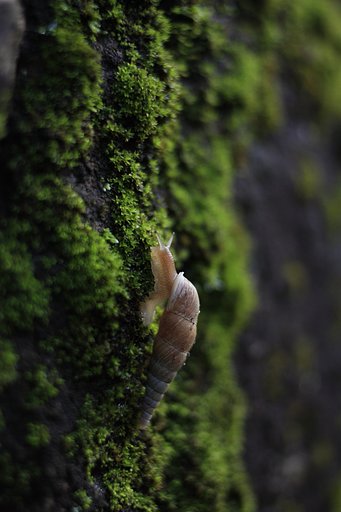 えっちら、、、