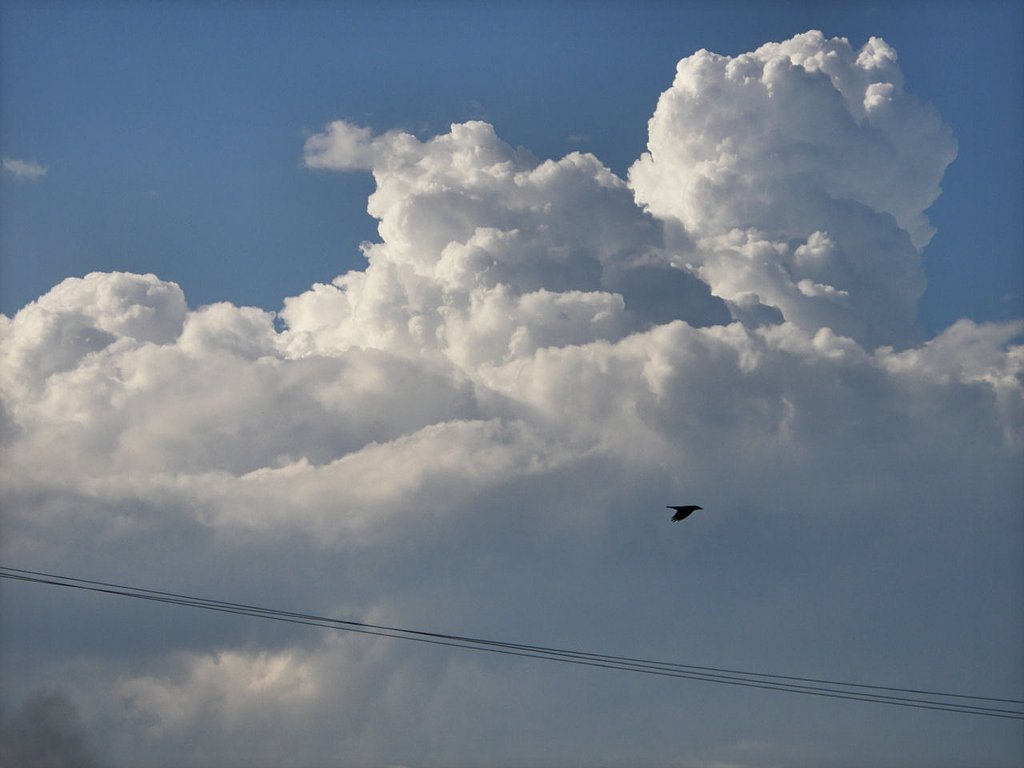 今日の空