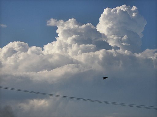 今日の空