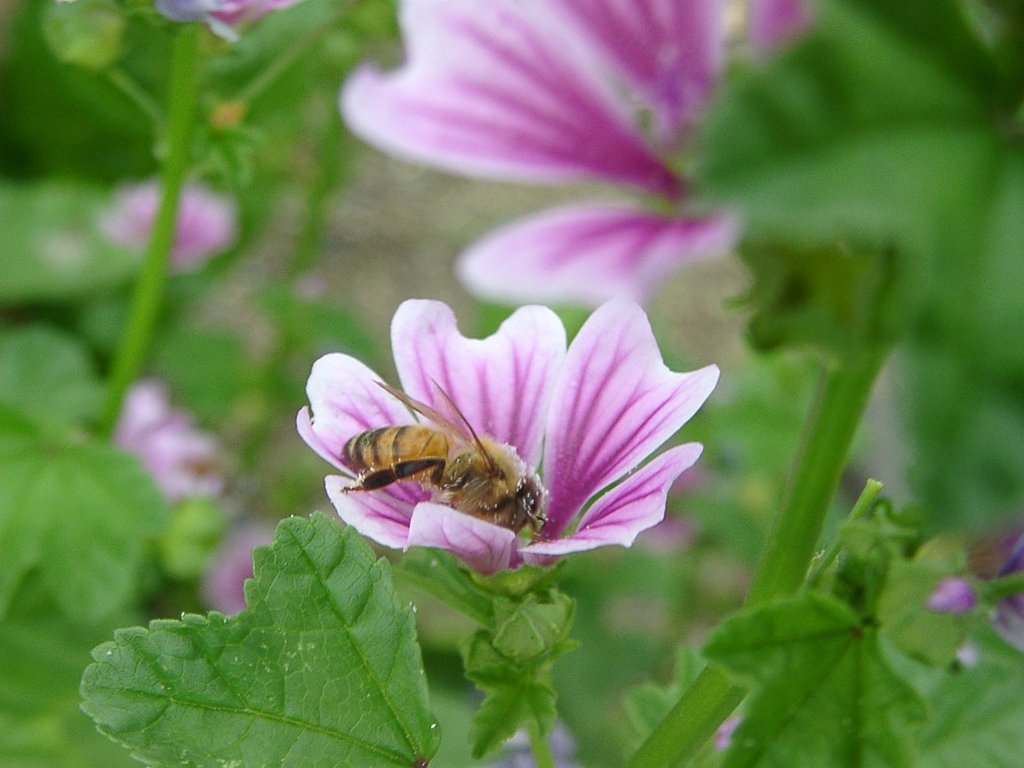 一心不乱