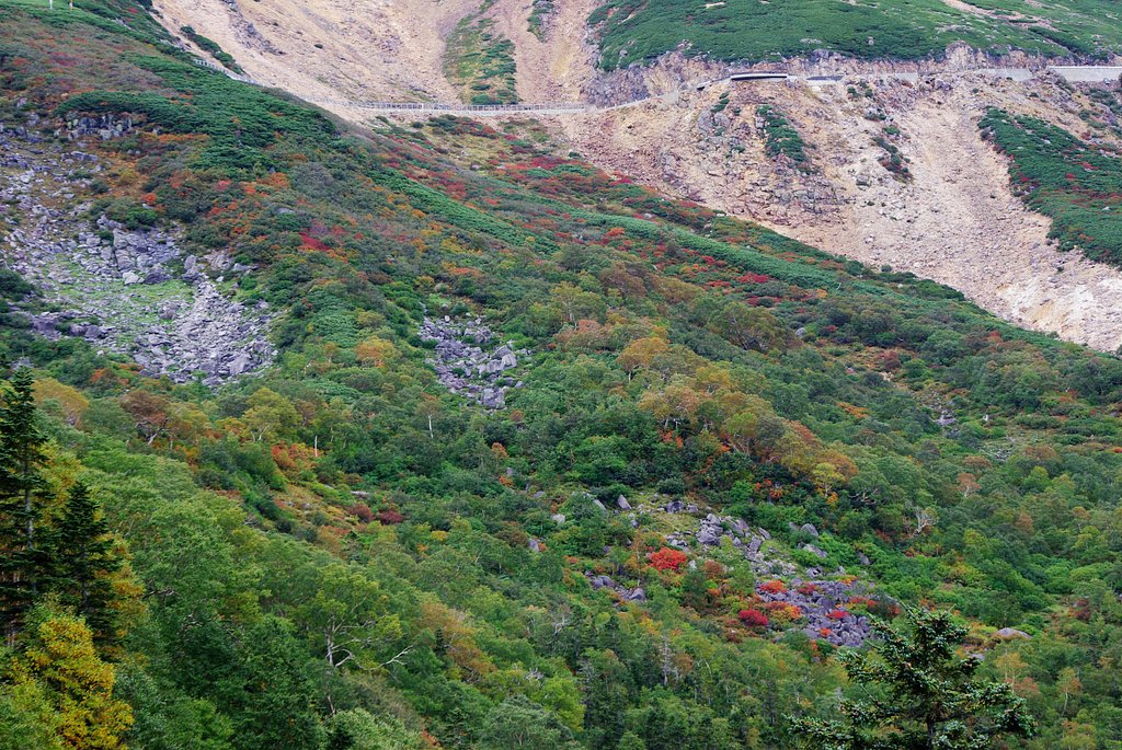 紅葉、行ってきました！