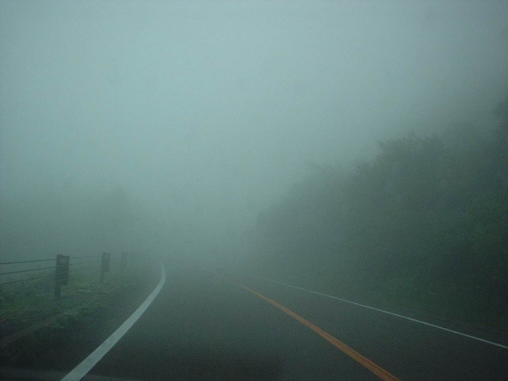 霧