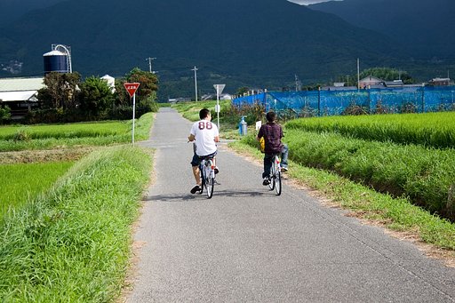 少年時代