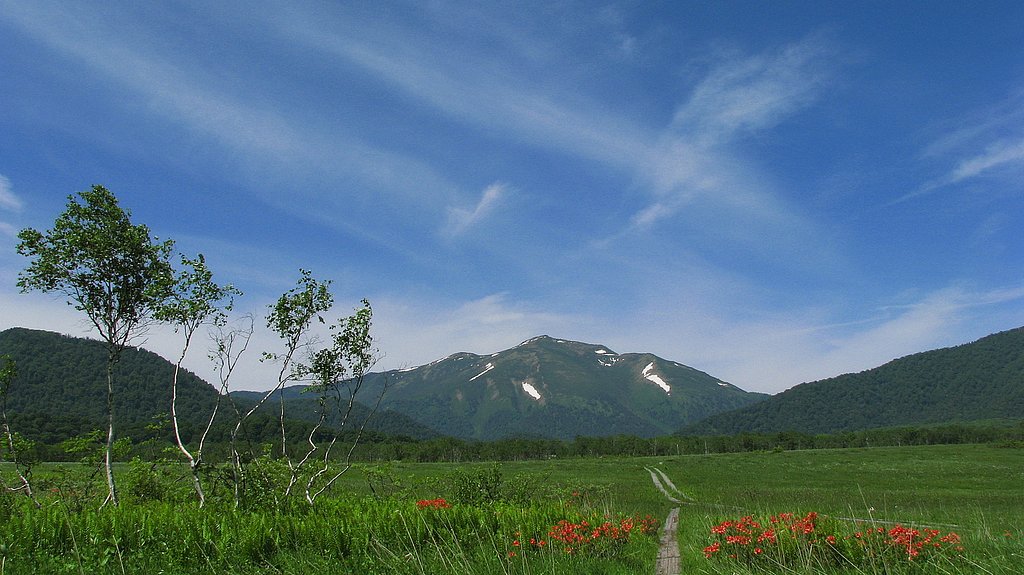 尾瀬ヶ原