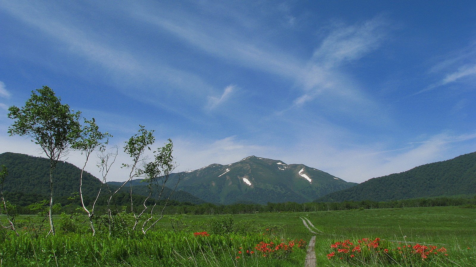 尾瀬ヶ原