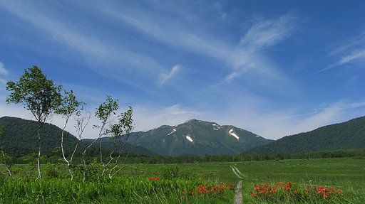尾瀬ヶ原