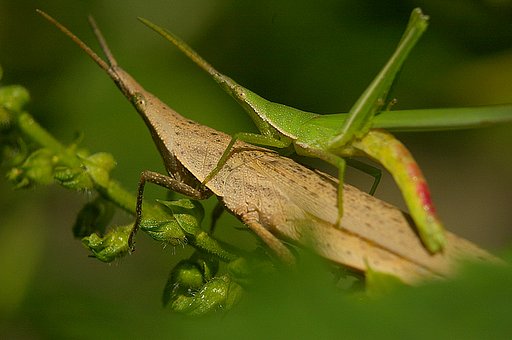 香りの中で・・・