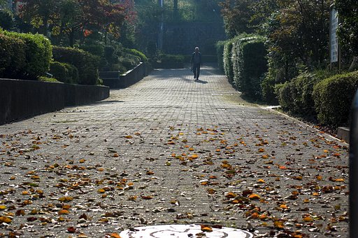 「秋影」休日の朝