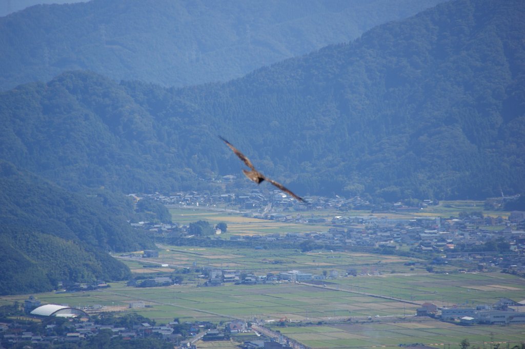 【秋影】麓