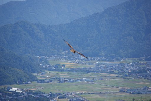 【秋影】麓