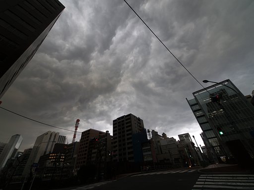 カラーなんです。。。