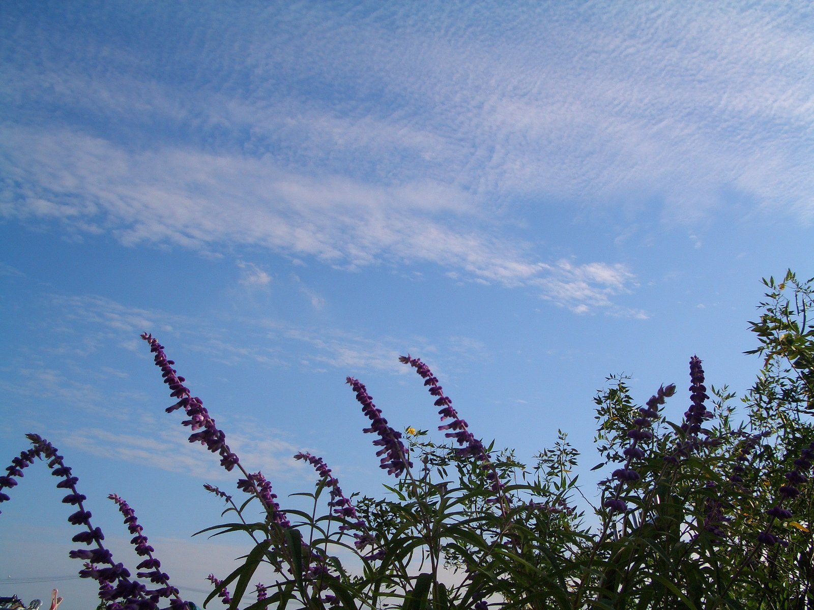 空の景色　（１）