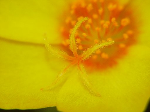 1月6日の写真