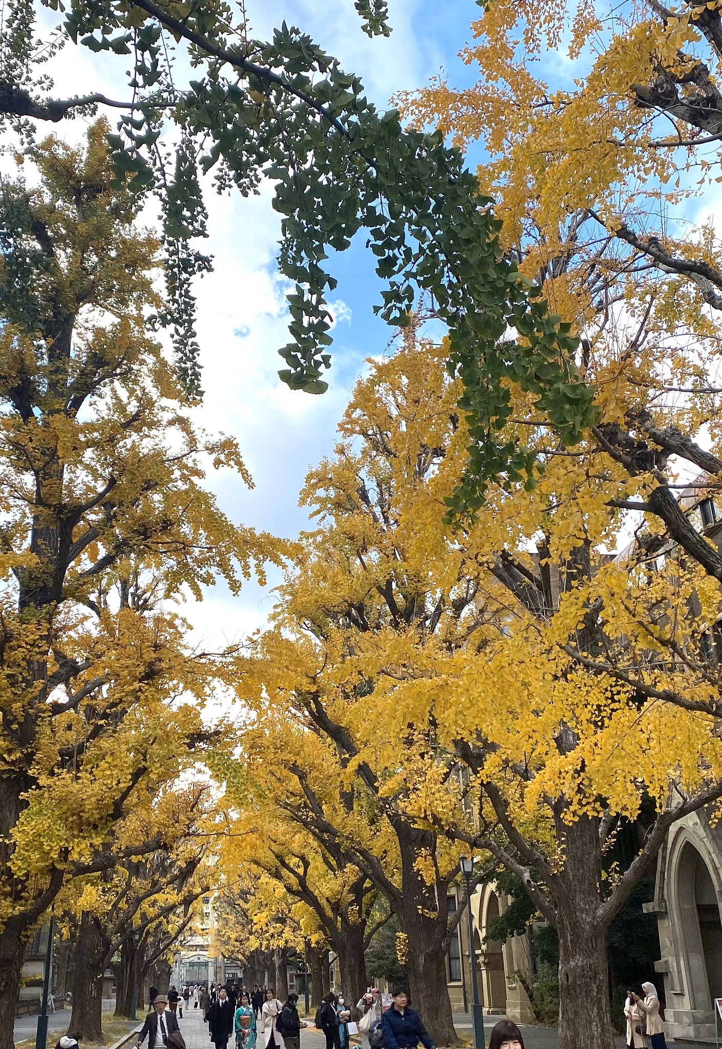 東大の校章？