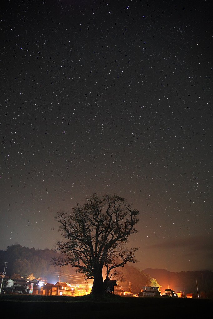 星空の大柿
