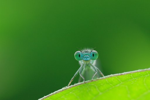 きょとん