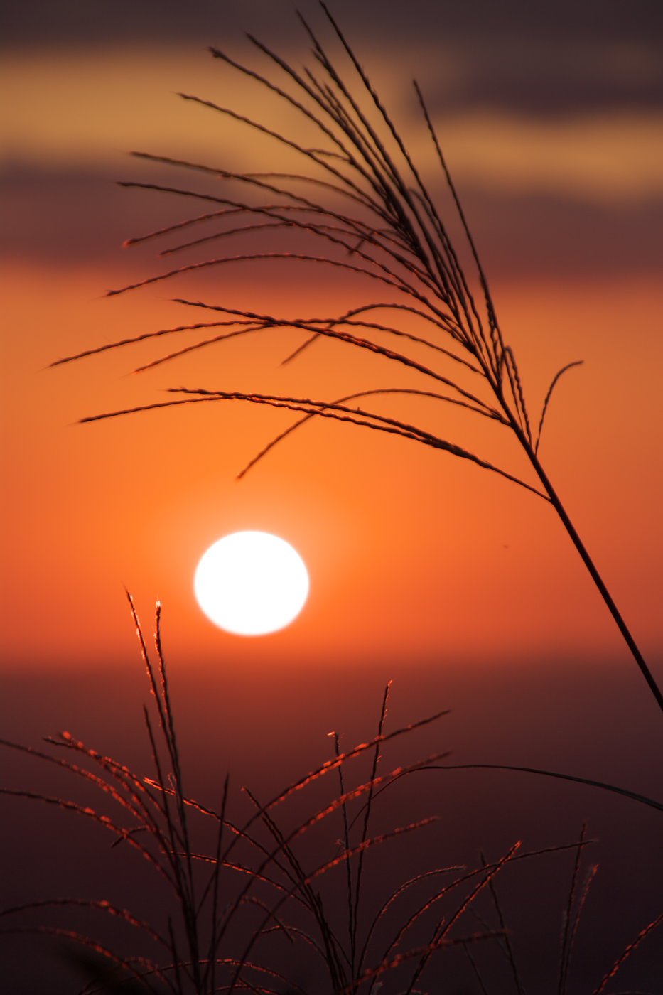 秋の夕暮れ