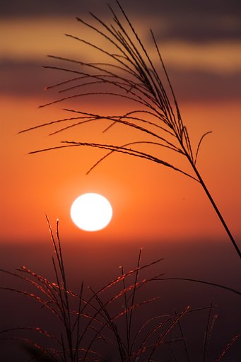秋の夕暮れ