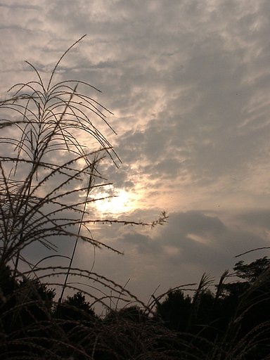 ◆秋の夕暮れ-６