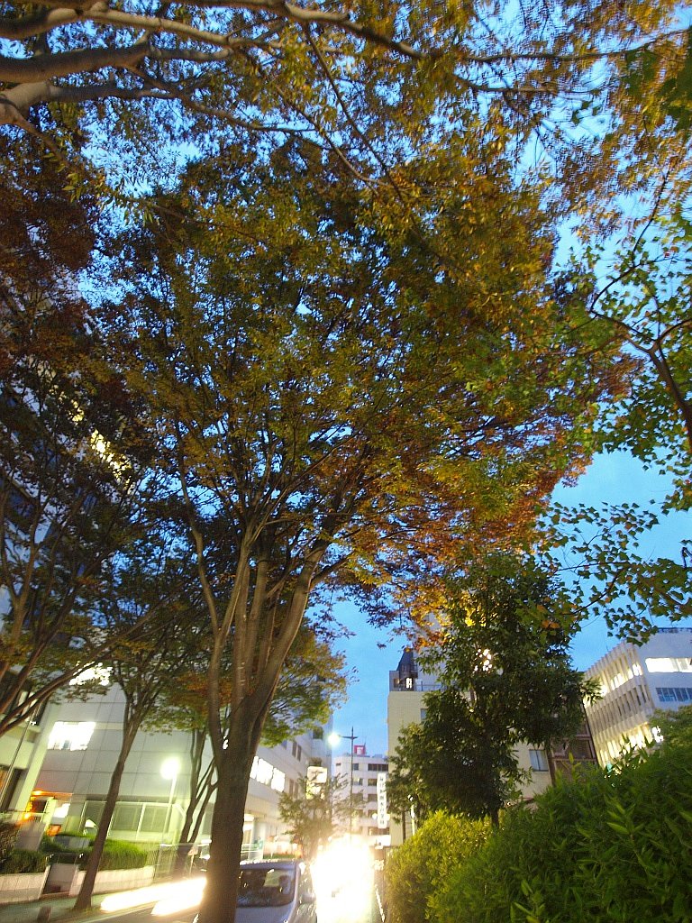 色付いてきましたね。^^;