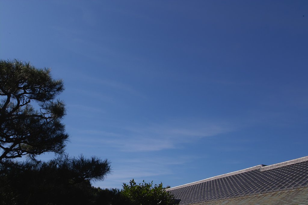 秋の空