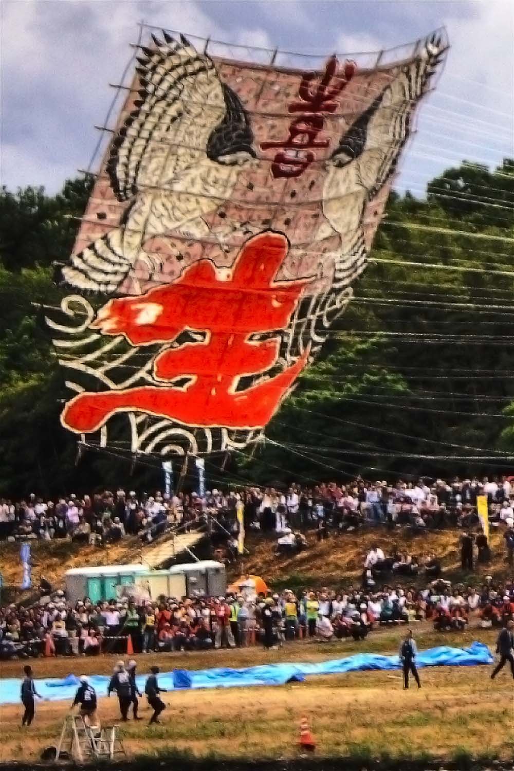 【祭】　大凧まつり