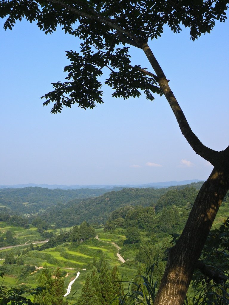 棚田の見える峠