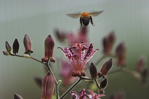 「秋影」飛び入り参加