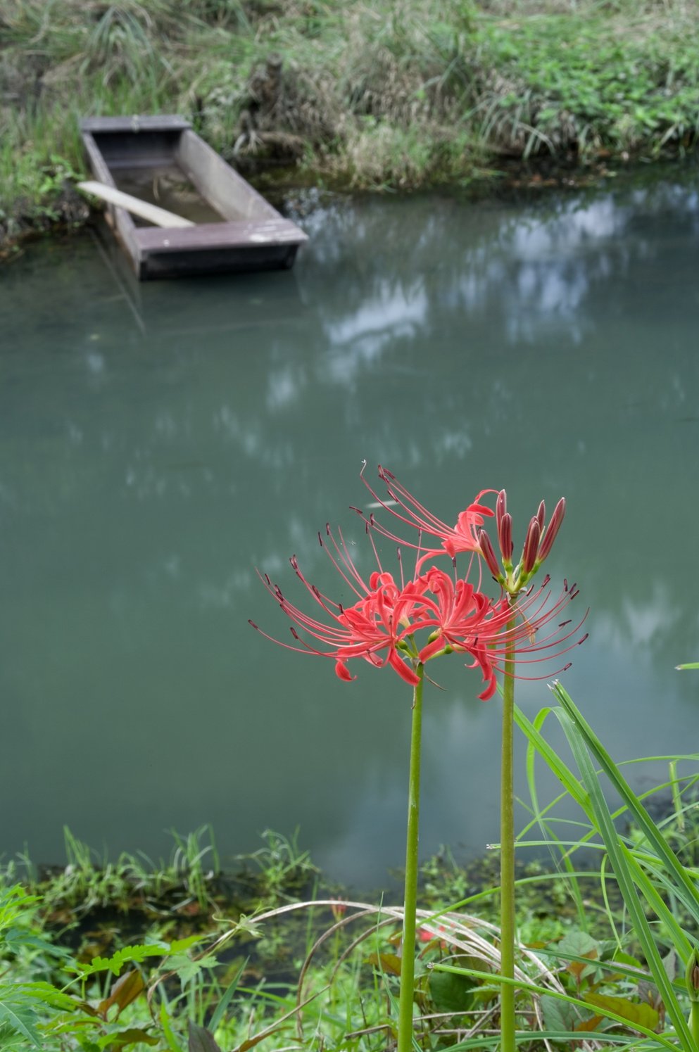 秋の風情