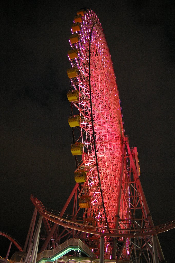 夜の観覧車
