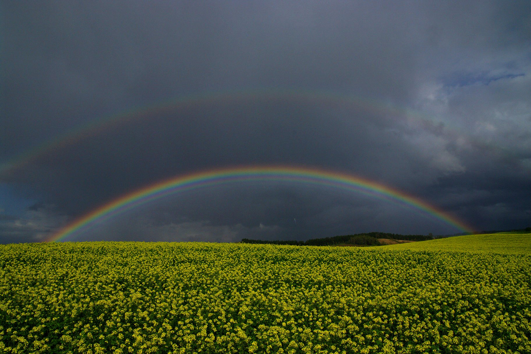 とても綺麗な風景なので
