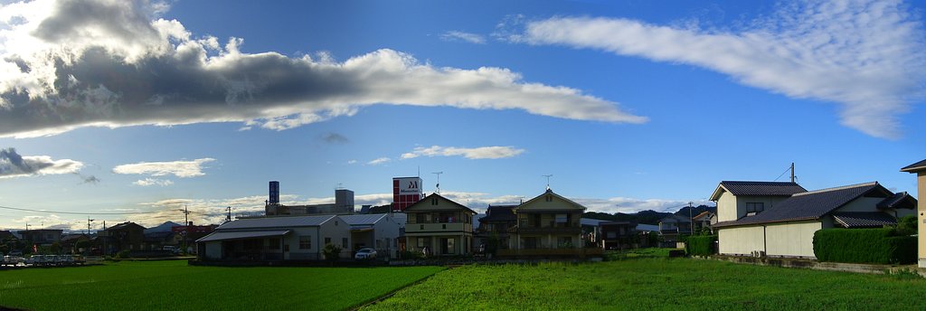 定点観測-パノラマ