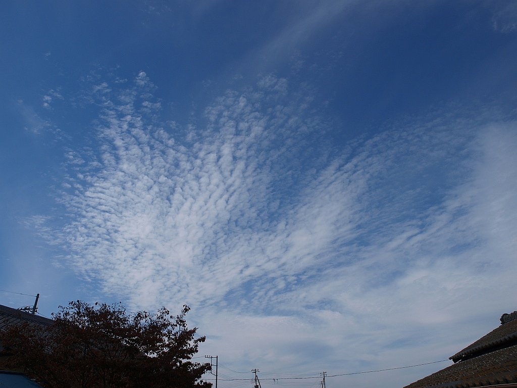 秋の雲