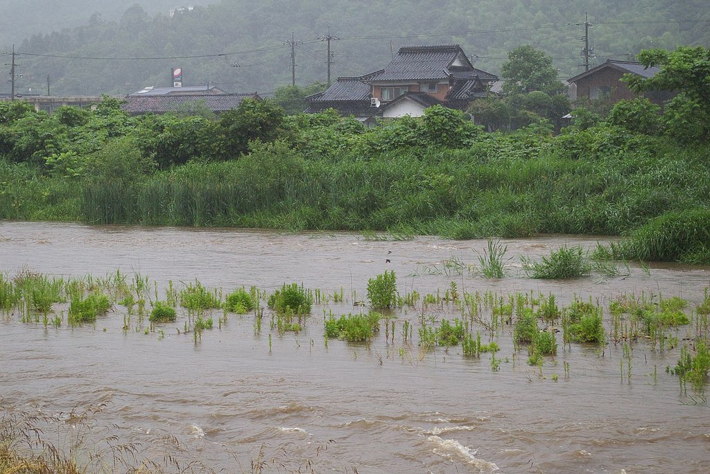 蒲生川も濁流です