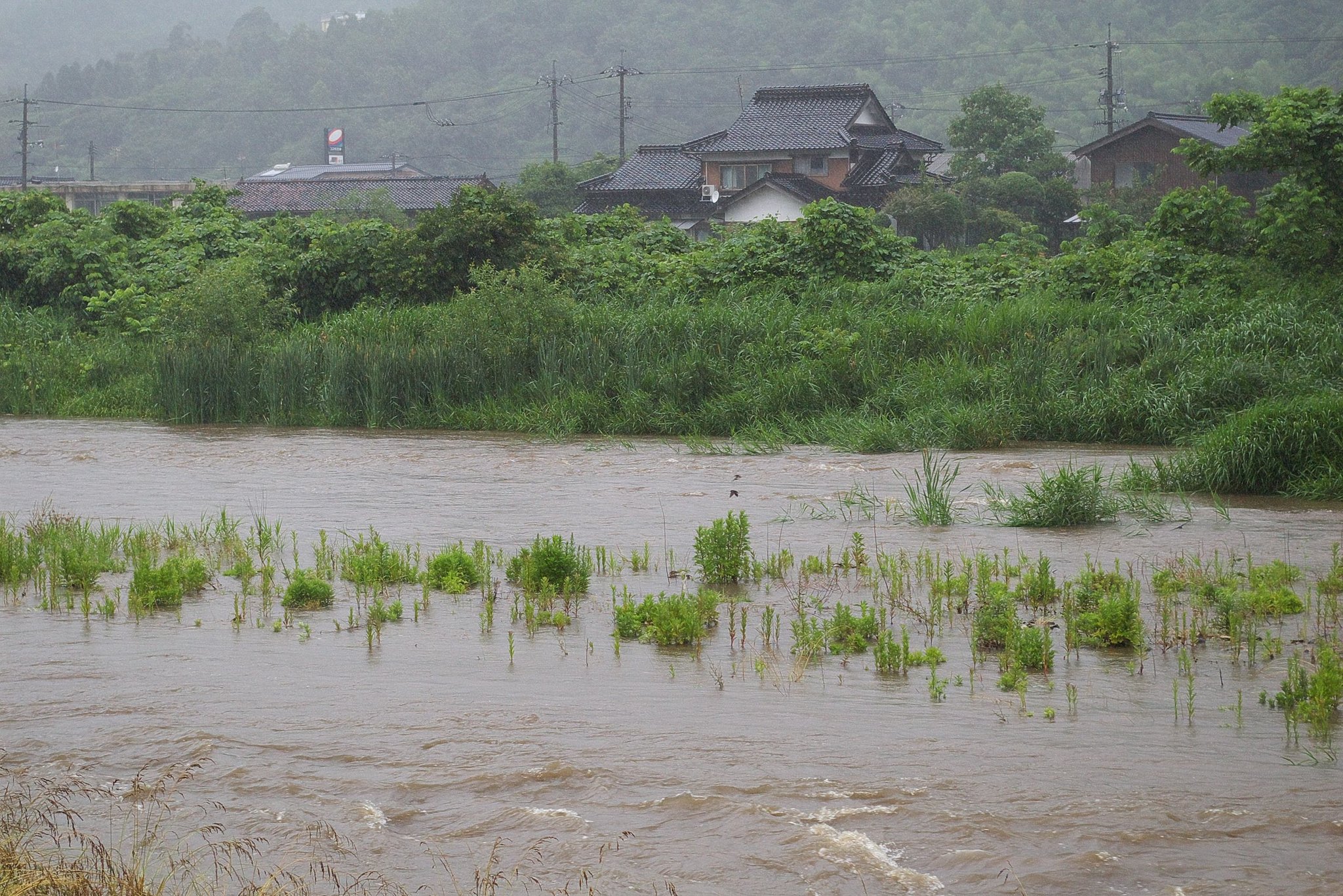 蒲生川も濁流です
