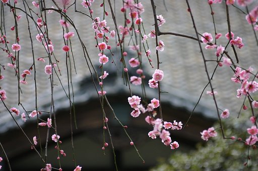 静寂