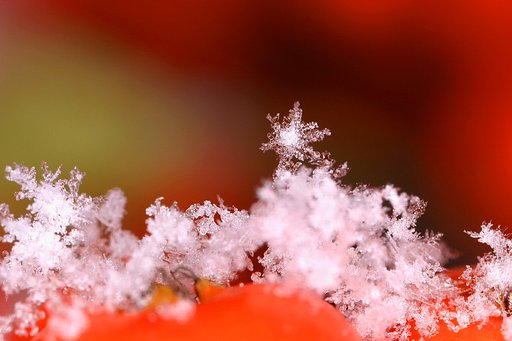 winter snow