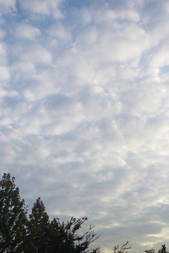 「秋影」おお　空よ