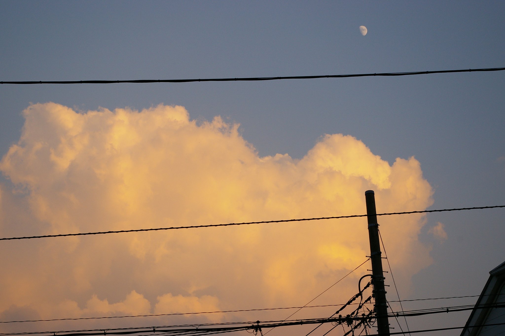 雲