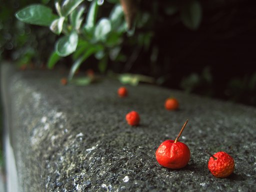 【秋影】赤の飾り付け