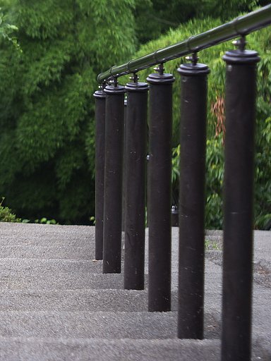 「道」長い階段を登り切った〜〜