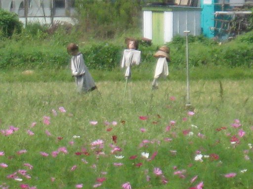 【秋影】ソフトな案山子