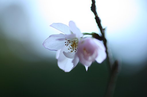 平成１６年も終わりですね。