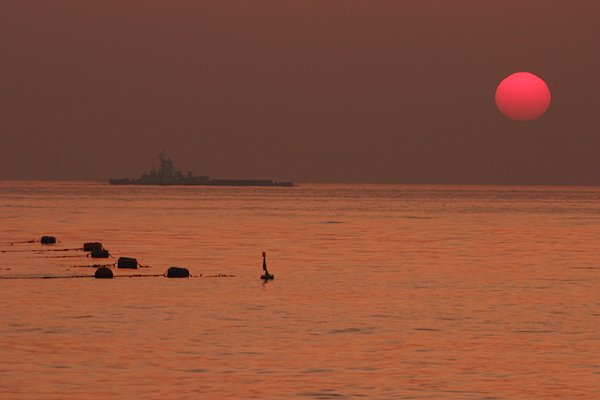 今朝の横浜金沢の海