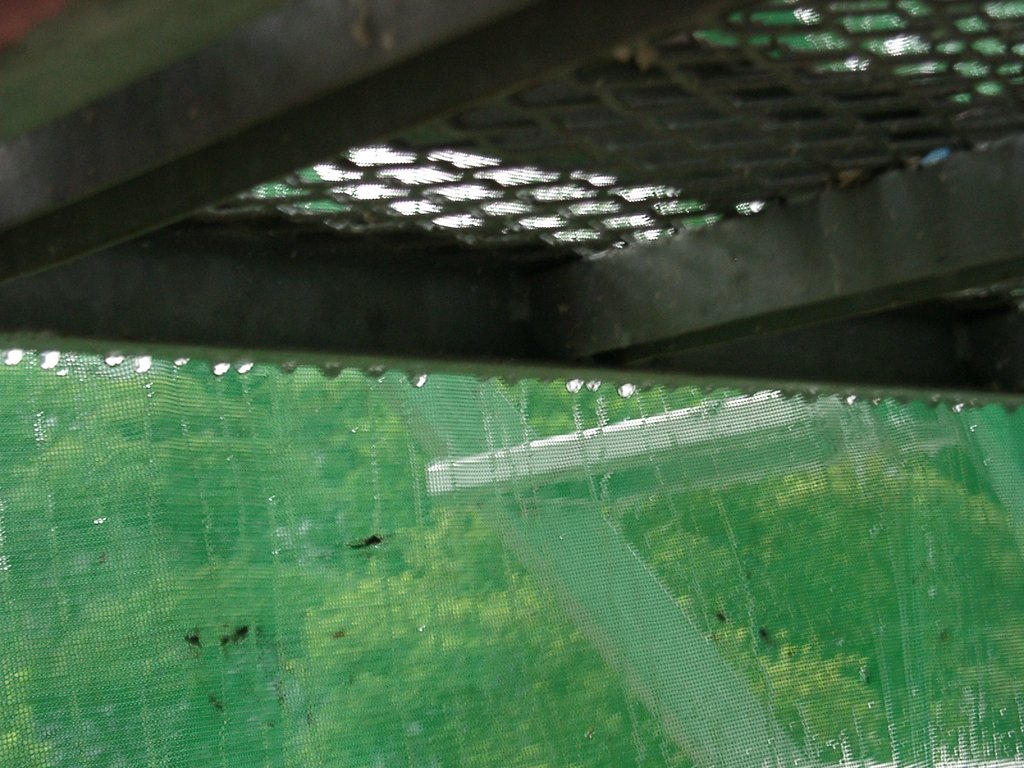 雨