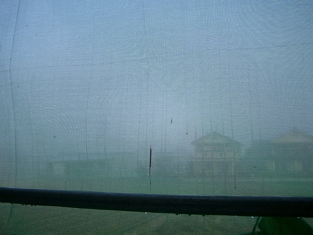 濃霧