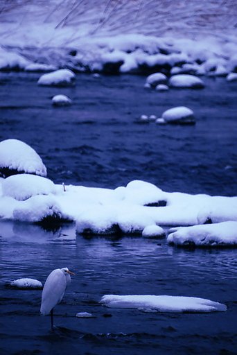 また雪が降った