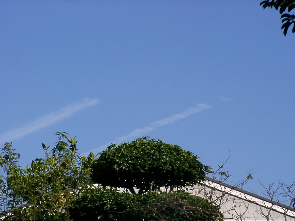 飛行機雲がなぜ？