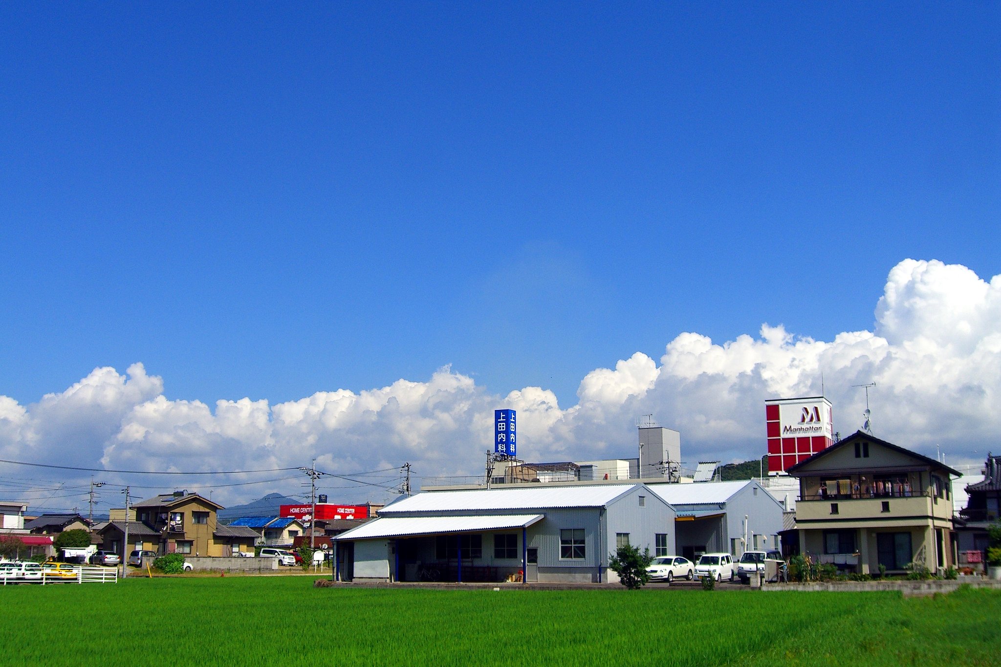 夏本番
